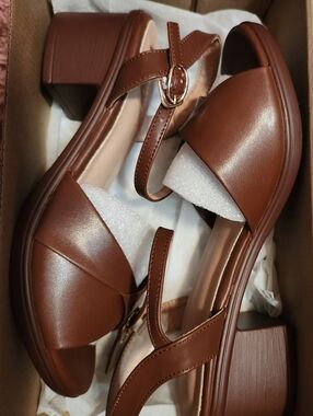 Classic Brown Block Heel Sandals with Ankle Strap